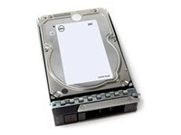 Dell - Kundsats - hårddisk - 4 TB - 512n, ISE - 3.5" - SAS 12Gb/s - 7200 rpm - för PowerEdge T160 400-BRDF