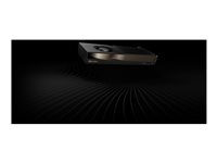 NVIDIA RTX PRO 4500 Blackwell - Grafikkort - RTX PRO 4500 Blackwell - 32 GB - för P/N: 360K6AA, 38T92AA, 436M8AA#ABB, 56Q86AA, 6E3Z5AA, 6J6H7AA, 6J6H8AA, 79C24AA, 7H9Z3AA B11F2AA