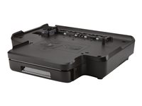 HP pappersmagasin - 250 ark CQ696A