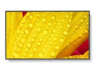 NEC MultiSync M651-2 - 65" Diagonal klass (64.5" visbar) - M Series LED-bakgrundsbelyst LCD-skärm - digital skyltning - med inbyggd mediaplayer / valfri slot-in PC-funktionalitet - 4K UHD (2160p) 3840 x 2160 - HDR - direktupplyst LED - pantone 426M 60006086
