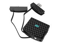 iGo Charge Anywhere - Power bank - 500 mAh - 5 Watt - 1 A (mikro-USB typ B) - på kabel: Micro-USB PS00313-0002