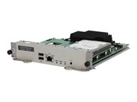 HPE Open Application Platform with VMware vSphere FIC Module - Expansionsmodul - för HPE MSR30-10, MSR30-11, MSR30-16, MSR30-20, MSR30-40, MSR30-60, MSR50-40, MSR50-60 JG533A